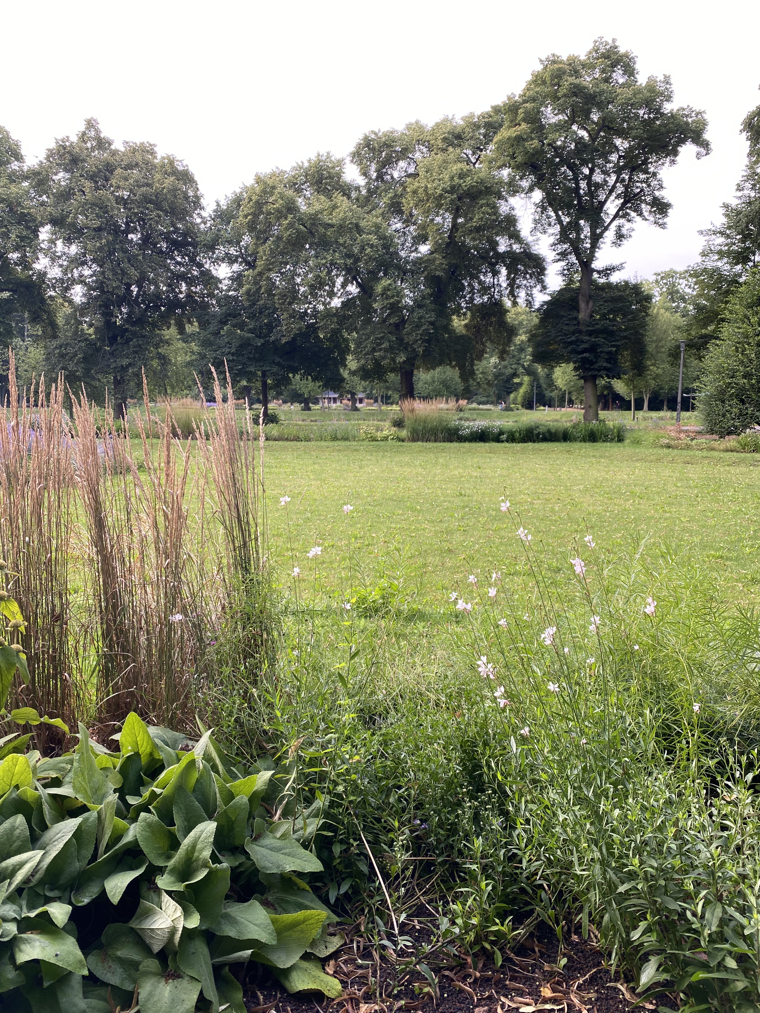Frisch saniert - die Rabatten im Clara-Park